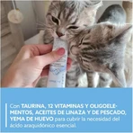 Gimborn Gimcat pasta para gatitos 6m+- pasta complementaria para gatitos 50 gr.