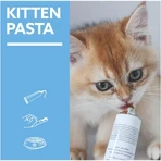 Gimborn Gimcat pasta para gatitos 6m+- pasta complementaria para gatitos 50 gr.