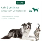 Innovet Glupacur 30 comprimidos - pienso complementario para perros y gatos (envase abollado)