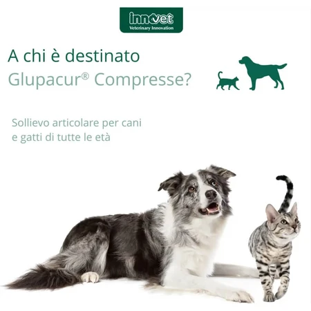 Innovet Glupacur 30 comprimidos - pienso complementario para perros y gatos (envase abollado)