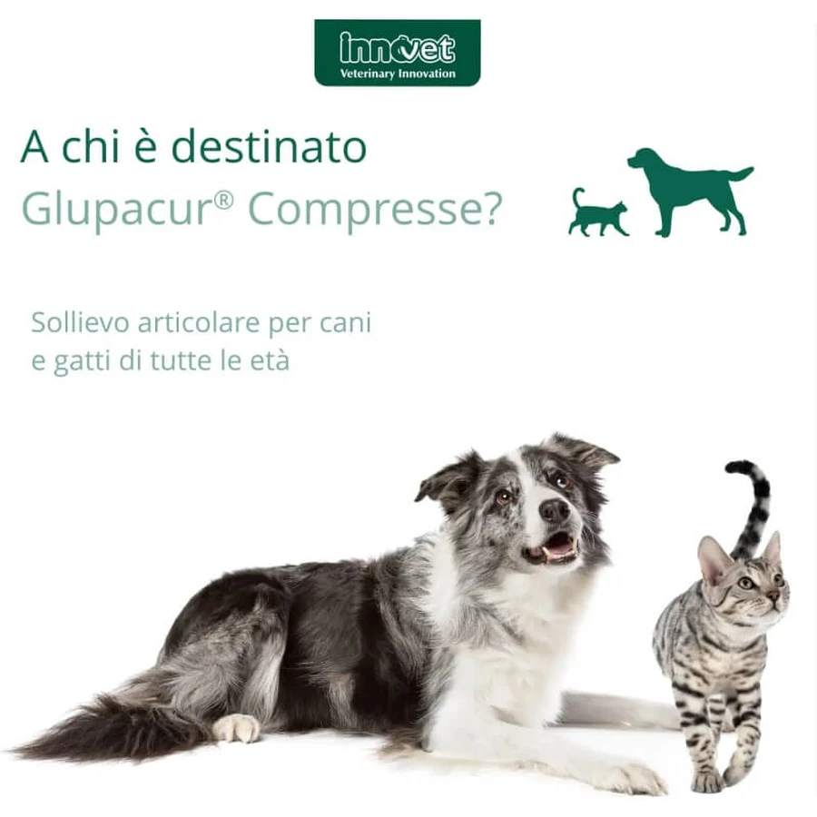 Innovet Glupacur 30 comprimidos - pienso complementario para perros y gatos (envase abollado)