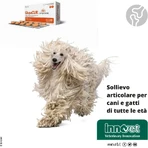 Innovet Glupacur 30 comprimidos - pienso complementario para perros y gatos (envase abollado)