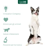 Innovet Glupacur 30 comprimidos - pienso complementario para perros y gatos (envase abollado)