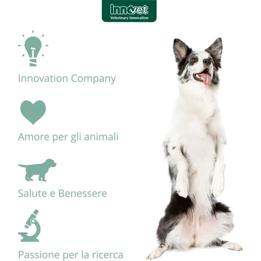 Innovet Glupacur 30 comprimidos - pienso complementario para perros y gatos (envase abollado)