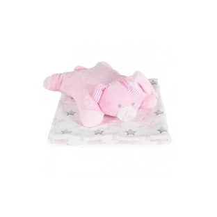 Cangaroo cadeauset voor pasgeborenen - zachte fleecedeken en roze teddybeer kussen