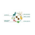 Forza10 Forza 10 dog mono diet adult mini deer potatoes - volledige dieetvoeding voor honden met intoleranties 1,5 kg