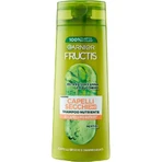 Fructis Dry Hair 2in1 - nourishing shampoo 250 ml