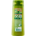 Fructis Dry Hair 2in1 - nourishing shampoo 250 ml