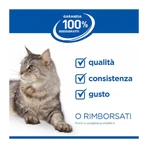 Hill's Prescription diet digestive care i/d kitten met kip - volledige voeding voor kittens 1.5 kg