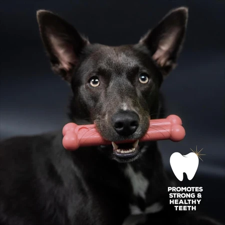Tasty bone Tasty bone pequeño - juguete para perro sabor bacon