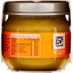 Plasmon homogenisierte grüne Hülsenfrüchte und Gemüse 2x80 g