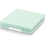 Clinique stay-matte sheer pressed powder oil-free - Kompaktpuder Nr. 17 stay golden