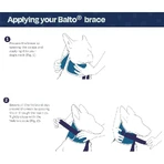 Balto Neck - starrer orthopädischer Schutzkragen zur Rekonvaleszenz Größe s