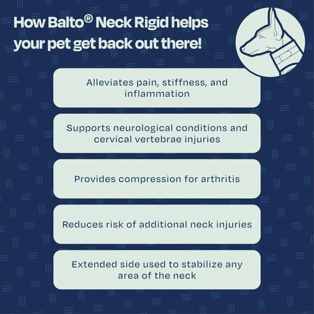 Balto Neck - starrer orthopädischer Schutzkragen zur Rekonvaleszenz Größe s