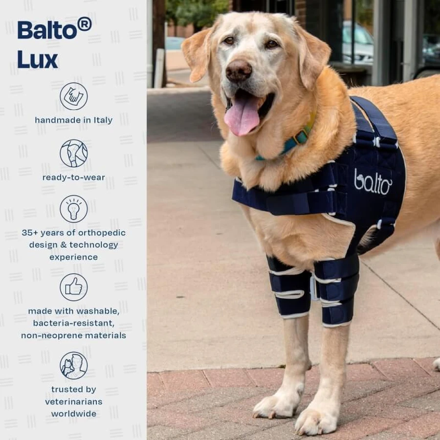Balto Lux - épaulière stabilisatrice pour chien taille l
