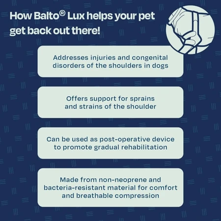 Balto Lux - épaulière stabilisatrice pour chien taille l