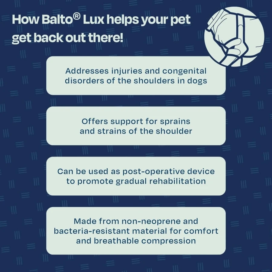Balto Lux - épaulière stabilisatrice pour chien taille l