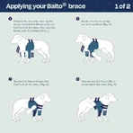 Balto Lux - épaulière stabilisatrice pour chien taille l