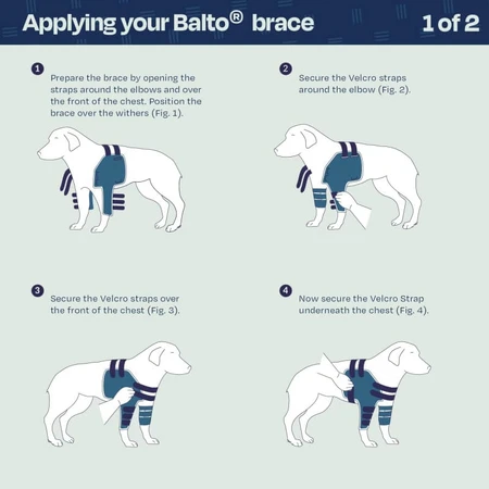 Balto Lux - épaulière stabilisatrice pour chien taille l