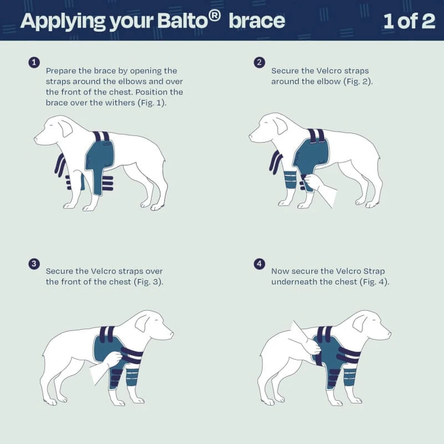Balto Lux - épaulière stabilisatrice pour chien taille l
