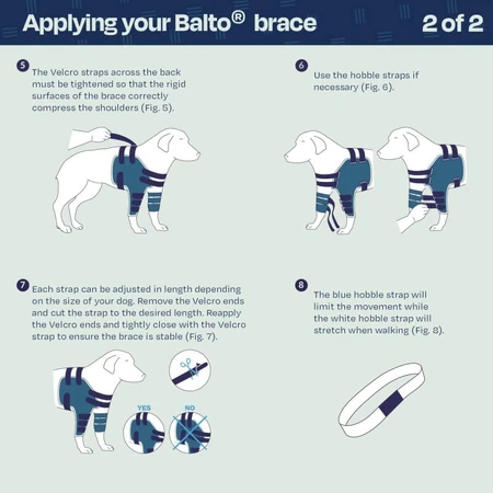 Balto Lux - épaulière stabilisatrice pour chien taille l