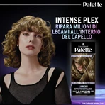 Palette Metallic Kollektion - permanente Färbung Nr. 6_61 Goldblond