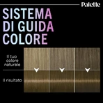 Palette Metallic Kollektion - permanente Färbung Nr. 6_61 Goldblond