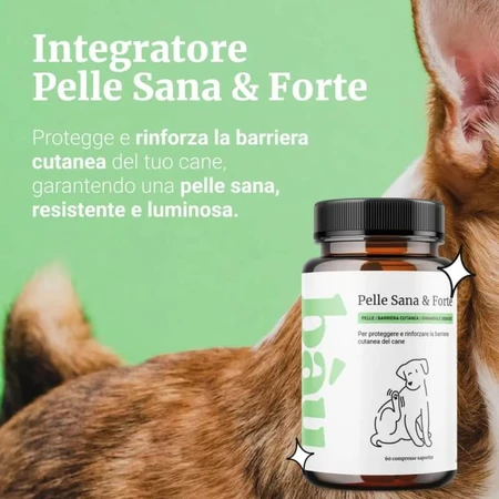 Bau cosmetics healthy &amp; strong skin 60 comprimidos - alimento complementario para perros