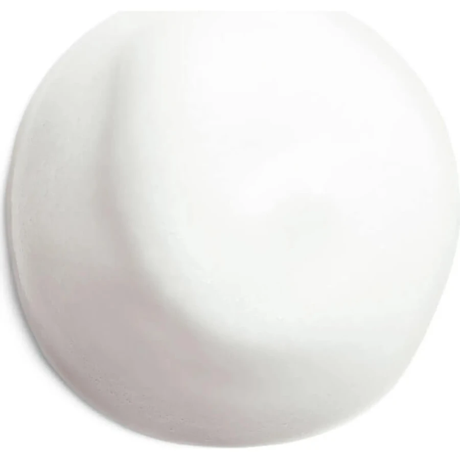 Shiseido Complete reinigende microschuim - reinigingsmousse 180 ml
