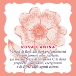 Illuminating Rose Water - Zweiphasen-Mizellenwasser für fahle Haut 200 ml