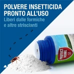 Sbm life science Forminix powder - professional granular ant-formic lure 375 g