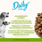 Almo nature Daily dog adult Schweinefleisch und Reis - Ergänzungsfuttermittel für ausgewachsene Hunde 12 kg