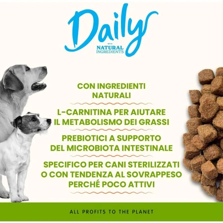 Almo nature Daily dog adult Schweinefleisch und Reis - Ergänzungsfuttermittel für ausgewachsene Hunde 12 kg