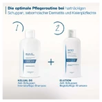 Coffret de shampooings Ducray KELUAL DS Soin Intensif n° 1 (2 x 100 ml)