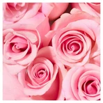 NUXE Very Rose Shower Gel 750 ml