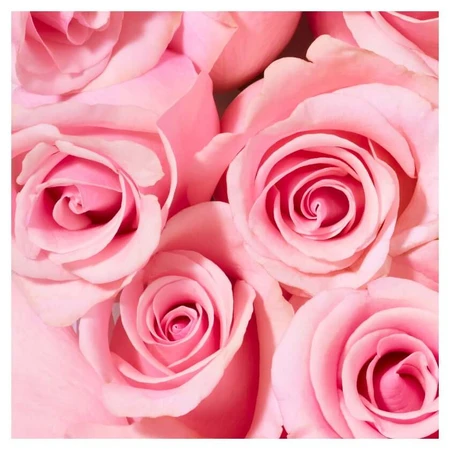 NUXE Very Rose Shower Gel 750 ml