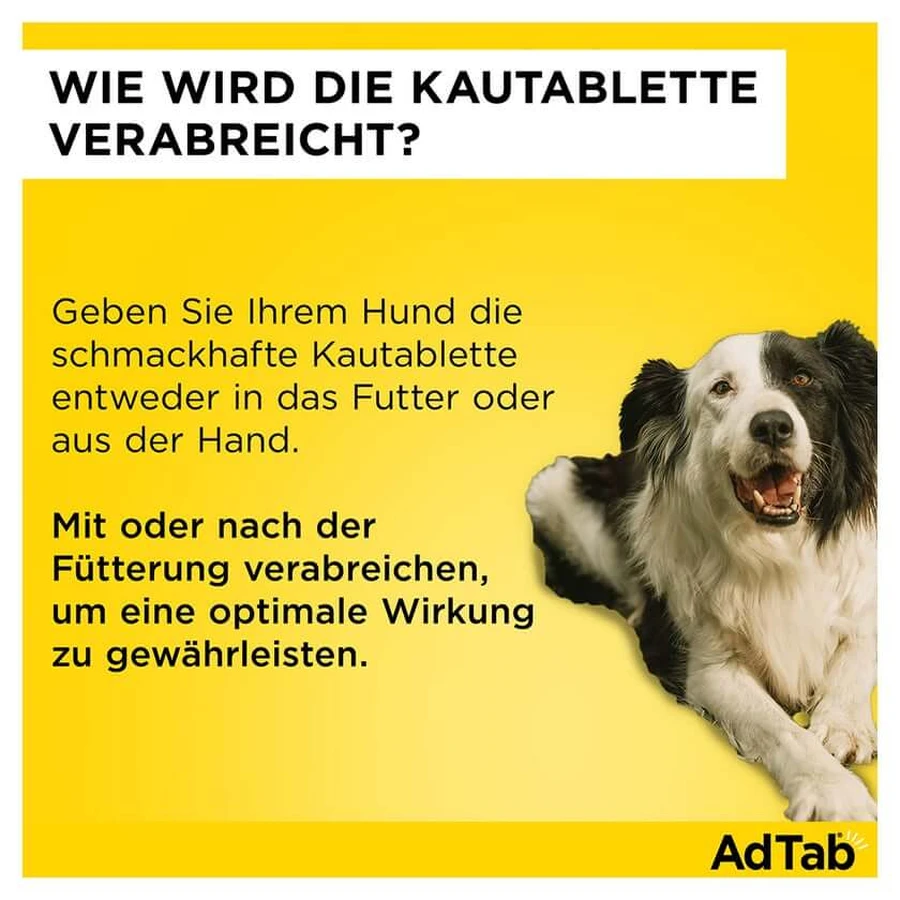 AdTab dog 2.5 - 5.5 kg chewable tablet 3 pcs.
