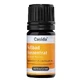 Casida Foot Bath Concentrate Repair &amp; Protect 5 ml