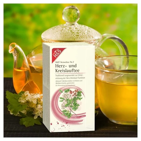 H&S Tè per il cuore e la circolazione 20X2,0 g