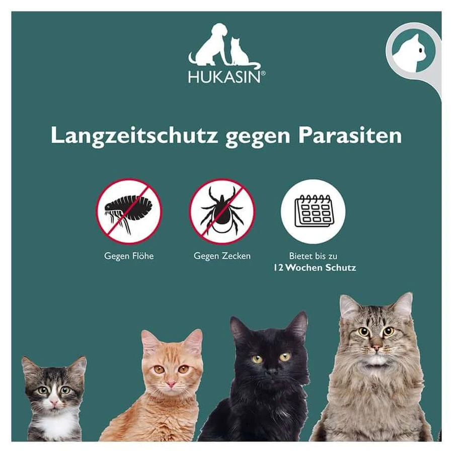 Hukasin Spot On Katze 3X0,7 ml