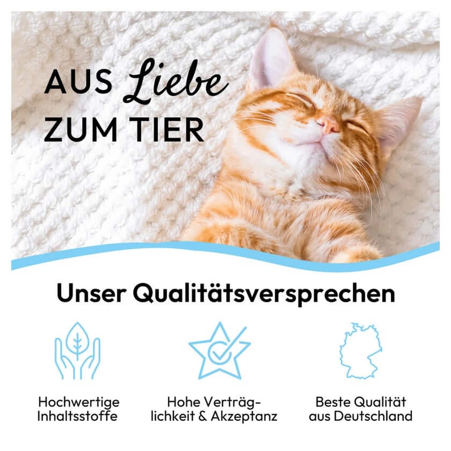 PHA Delicioso snack en gránulos para gatos 50 g