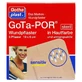 Gota-por Wondpleister Steriel 60x100 mm h 5 st.