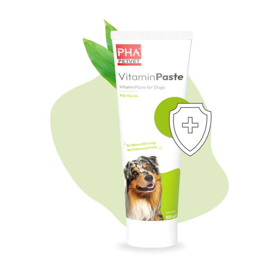 Pasta witaminowa Pha dla psów 100 ml: ceny i cechy