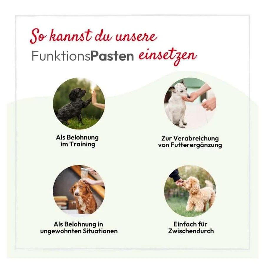 Pasta witaminowa Pha dla psów 100 ml: ceny i cechy