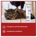 Double Heart for Animals Spray relaxant pentru pisici 90 ml