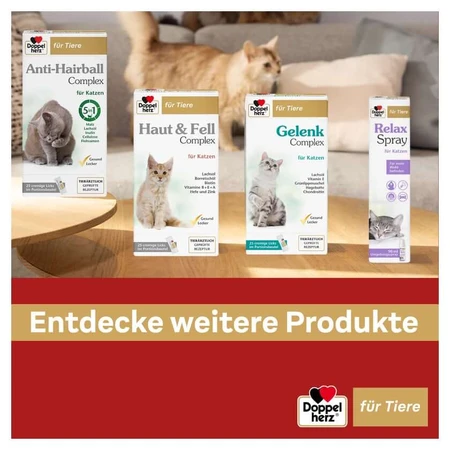 Double Heart for Animals Spray relaxant pentru pisici 90 ml