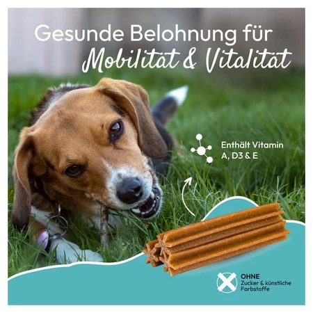 PHA Multivitalstick Dogs 7 pcs