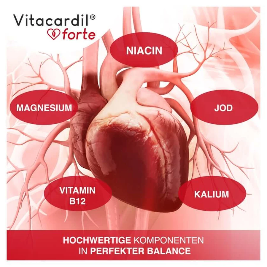 Vitacardil Forte M.thiamin F.d.herzfunktion Kaps. 120 St