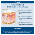 Evolsin Scar Gel 20 g