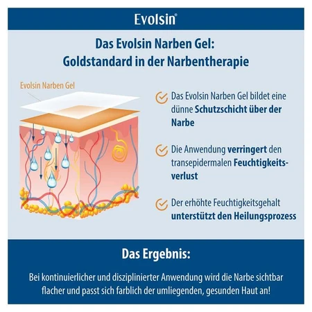 Evolsin Scar Gel 20 g